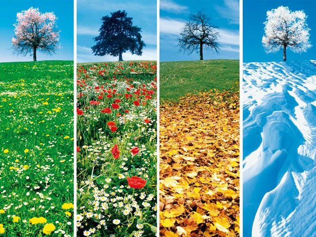 What is the best season to buy a house in the South of France?