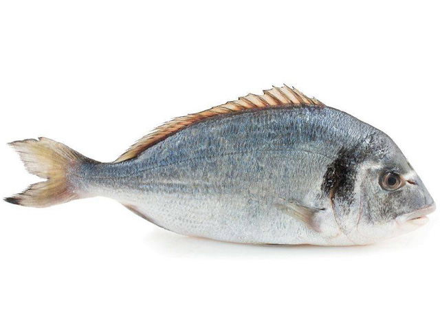 Jo kookt lekker aan de Côte: Dorade