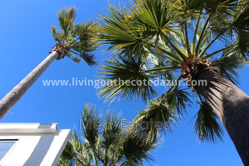 COVID-19 heeft de wereld in een houdgreep. Maar wat betekent het in de praktijk als u een tweede huis wilt kopen in Zuid-Frankrijk?